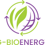 Global Bioenergy Partnership logo