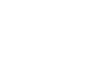 Global Bioenergy Partnership white logo