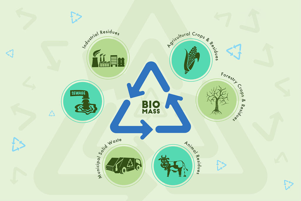 green energy biomass