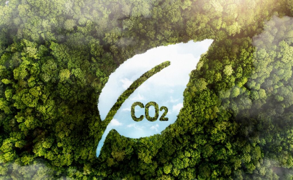 Net-Zero Carbon