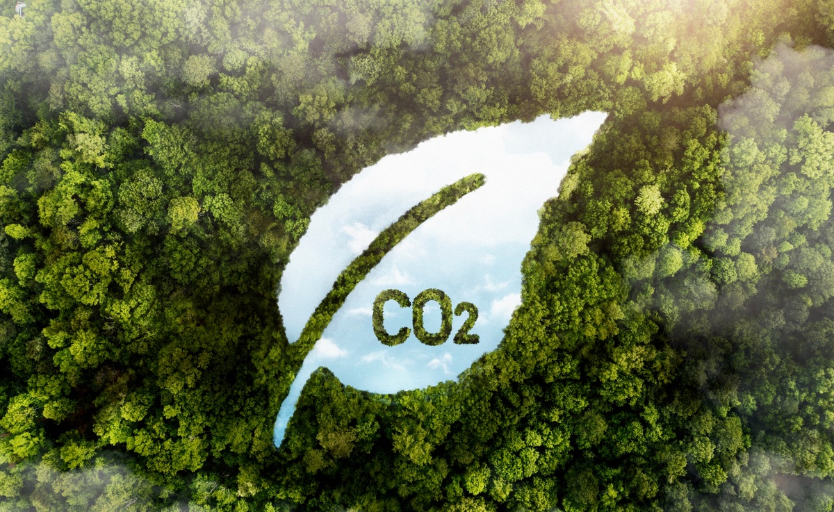 Net-Zero Carbon