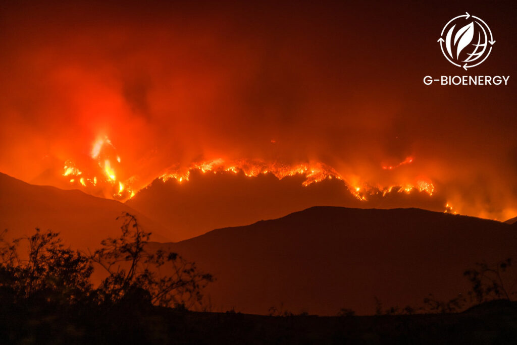 Wildfires In Savannas