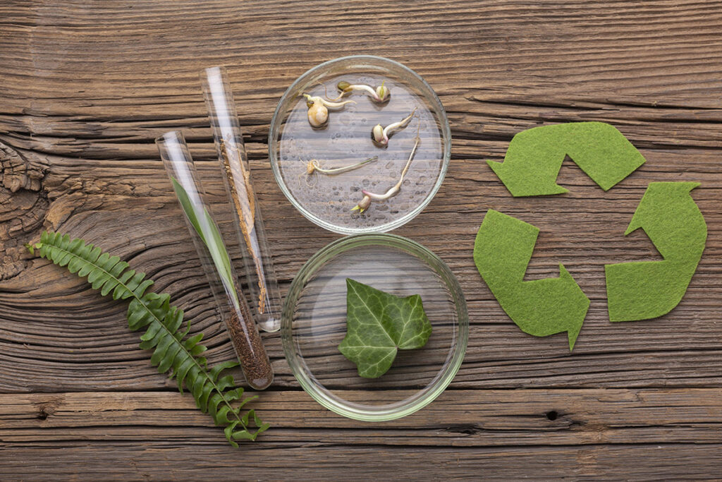 circular-bioeconomy-waste-to-energy