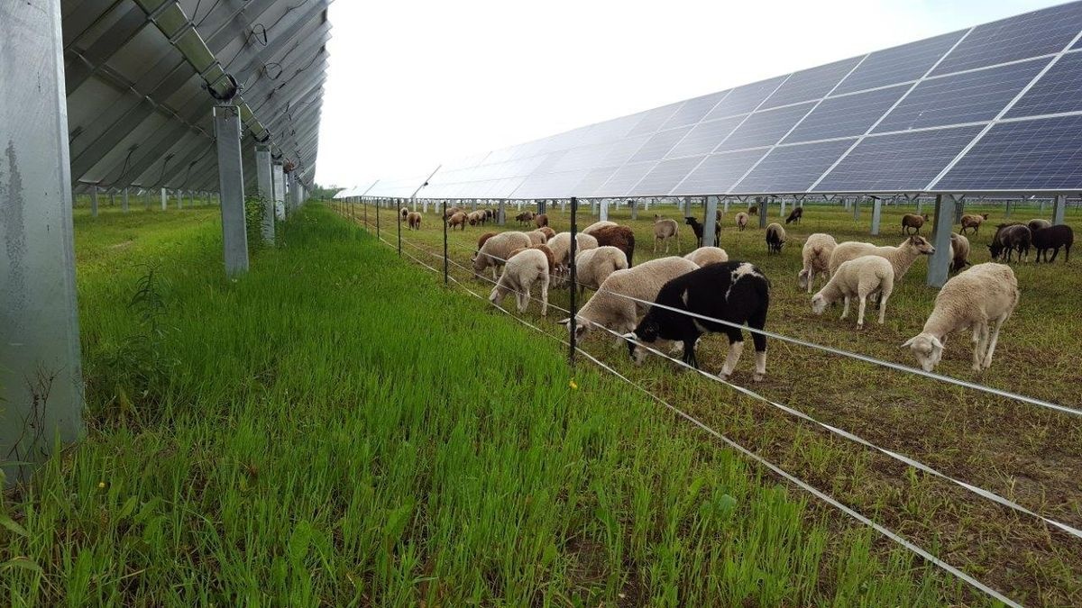 agricultural-waste-to-energy