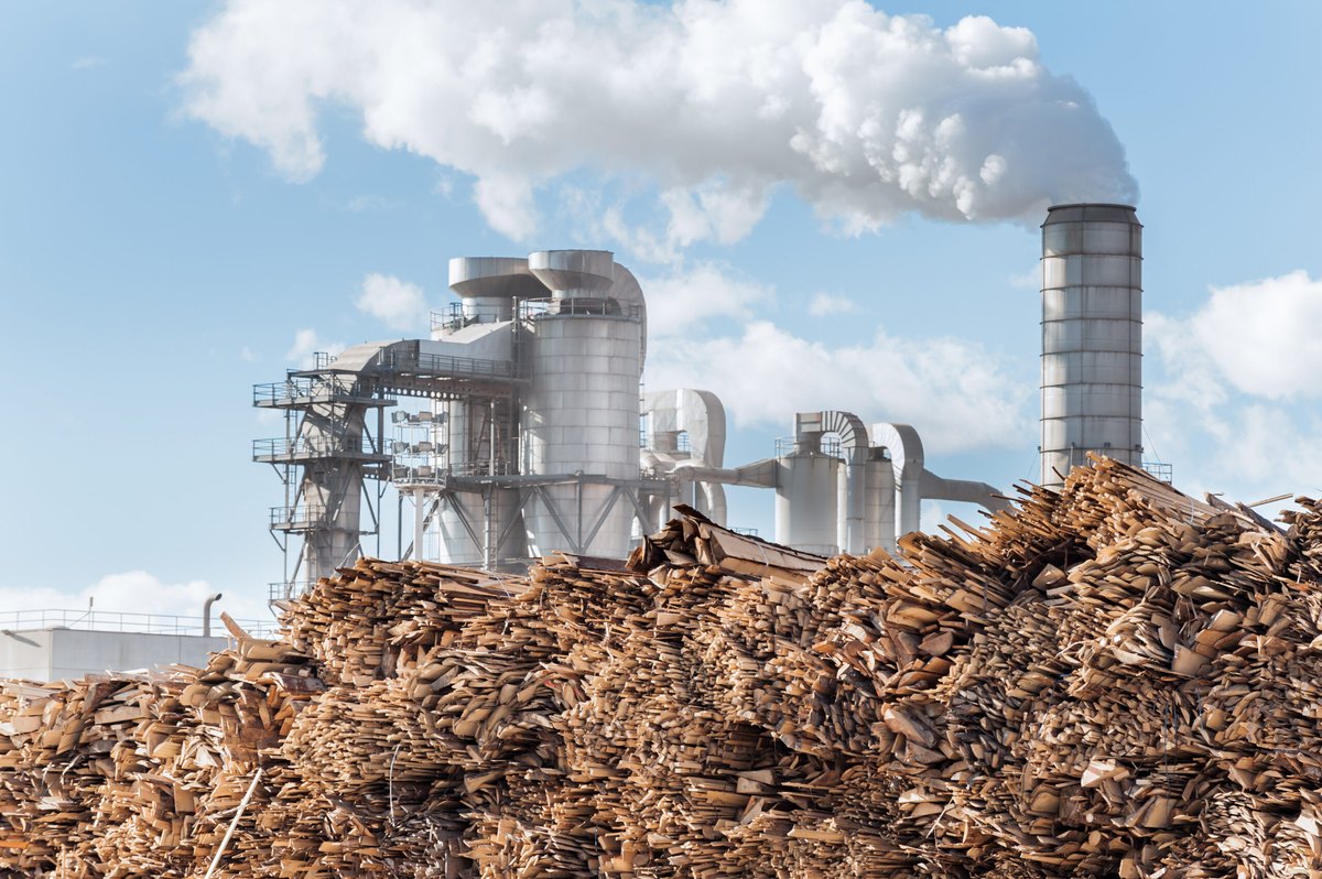 Bioenergy Project Roadmap