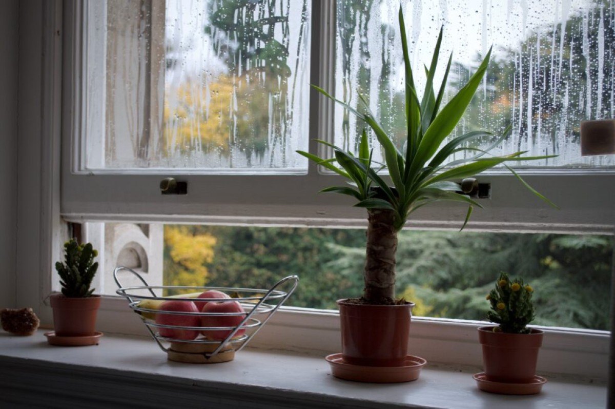 wetter air damper walls climate change indoor environment
