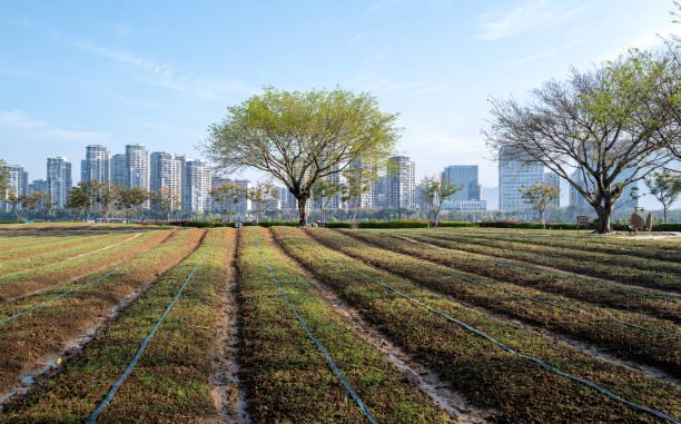sustainable land use planning