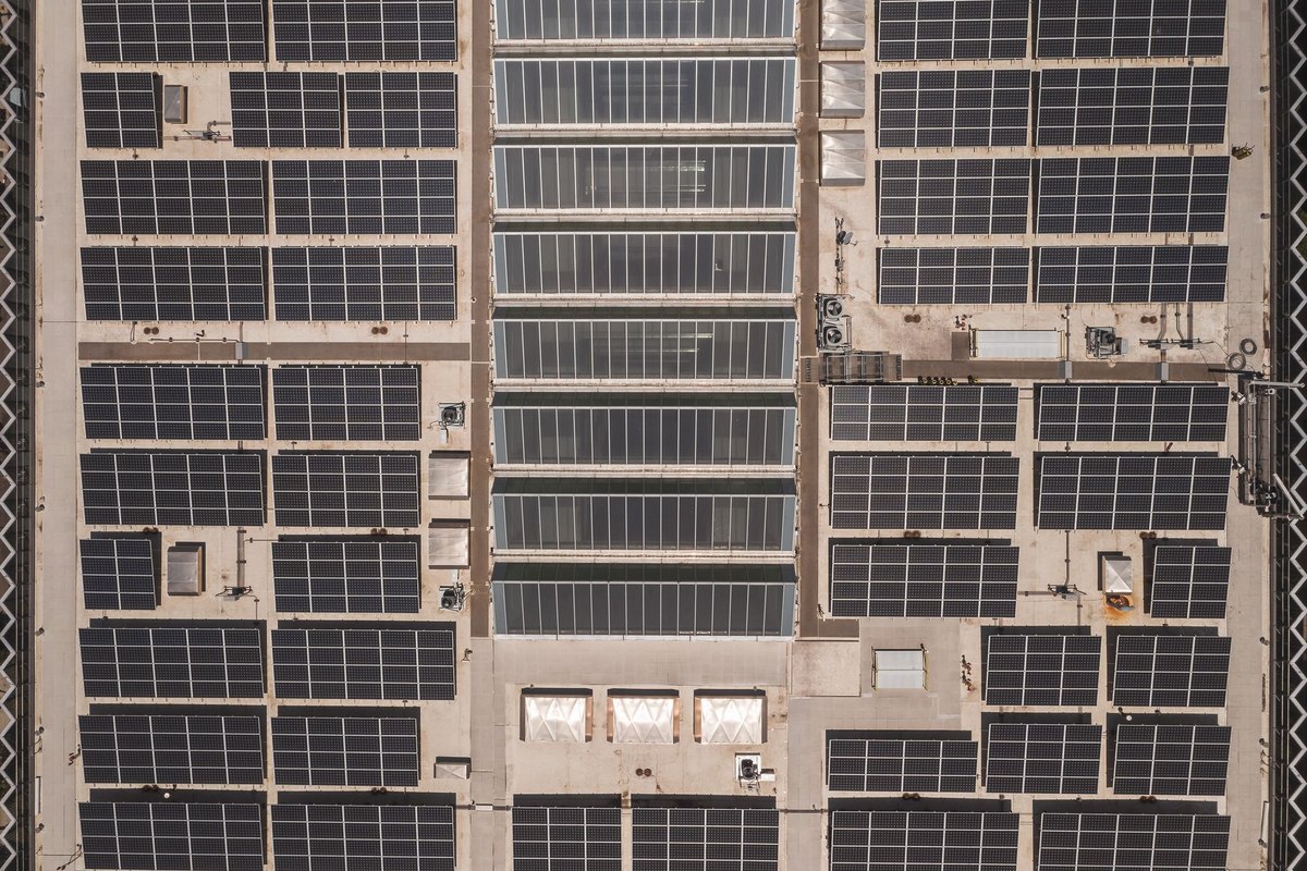 Aerial view of a large industrial facility rooftop covered in solar panels, representing sustainable business energy.