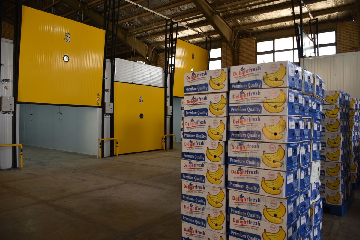 Stacks of banana boxes in a modern industrial cold storage warehouse with large yellow temperature-controlled doors.